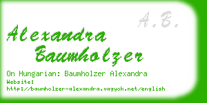 alexandra baumholzer business card